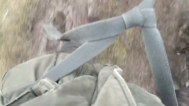 Собака тянет поводок, альтернативное решение проблемы смотреть онлайн