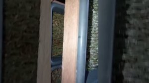 Пророщенный ячмень