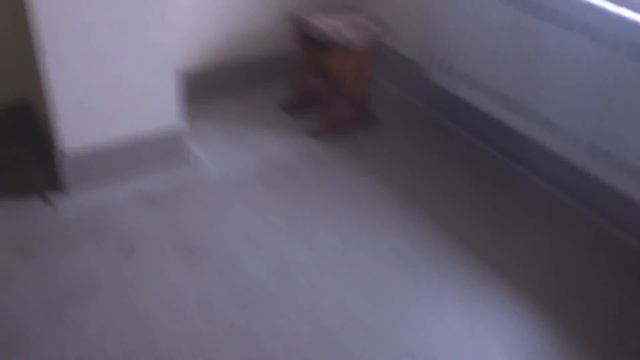 Лифт Гробовик МЛМ (Посёлок Володарский), V=1 м-с, г-п 630 кг