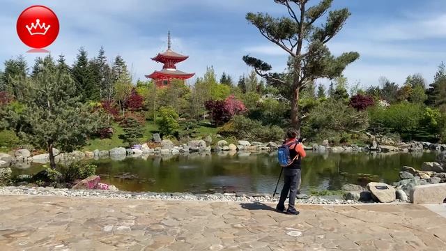 Парк галицкого японский сад. Японский сад в парке галицкого коды. Японский сад в парке краснодар. Японский сад. Японский сад в парке галицкого коды.