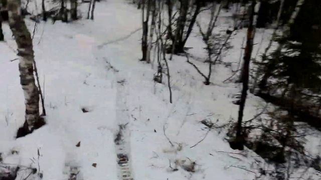 [Покатушки] Первый снег irbis ttr 125 смотреть онлайн