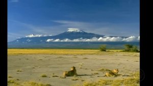 Гора Килиманджаро. Танзания