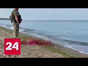 На заминированном пляже в Одессе подорвался местный житель - Россия 24