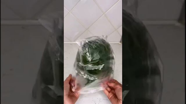 Как долго хранить зелень в свежем виде. Что сделать, что бы зелень долго оставалась свежей. Лайфхак смотреть онлайн