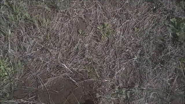 ПРАЗДНИЧНЫЙ МЕТАЛО КОП смотреть онлайн