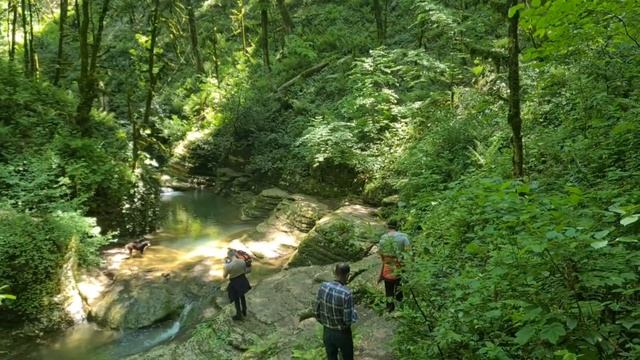 Работа мечты | Ахштырское ущелье | Субтропический рай в отдельно взято городе смотреть онлайн