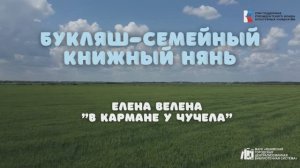 Сказка "В кармане у Чучела"