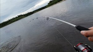 ТРОФЕЙНАЯ ЩУКА НА БУЛЮ #рыбалка #щука #спининг #fishing #pike #pikefishing