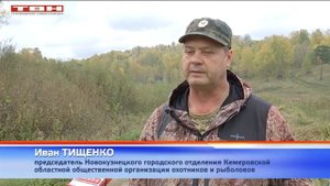 Медведи выходят к людям и это опасно