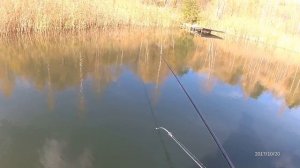 Легкая рыбалка и покатушки на лодке с мотором .