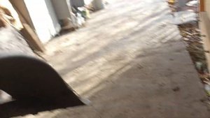 Про задний маятник на квадроцикле.