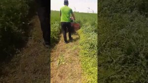 Мотоблок беда уриши