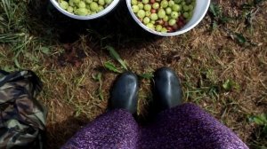 VALAAM | Волонтером на Валаам