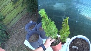 "Гроубэг" (Grow Bag). Преимущества и недостатки. (Минусы и плюсы).