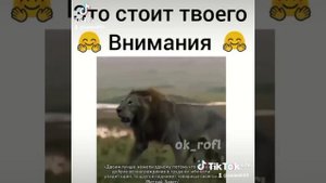 Брат за Брата