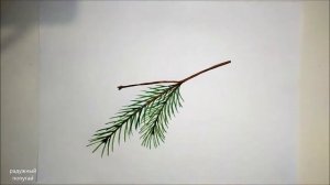 Как нарисовать ЕЛОВУЮ ВЕТОЧКУ! Учимся РИСОВАТЬ ветку ели! draw spruce twig