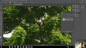 Hướng dẫn tách nền bằng công cụ color range trong Photoshop