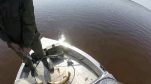 Рыбалка с комфортом на новой лодке ТРИЕРА 431 фиш нас удивила!!!