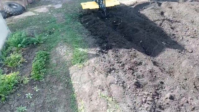 Культиватор.Ремень или редуктор смотреть онлайн