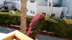 Египет, Шарм-эль-Шейх, отель Jaz Fanara Resort 4*, обзор номера Standart room