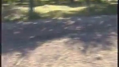 Новокузнецк 2003 год