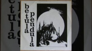 Betula Pendula - Ve jménu lidskosti