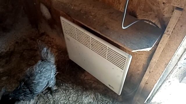 КАК РАБОТАЕТ КОНВЕКТОРНЫЙ ОБОГРЕВАТЕЛЬ В КУРЯТНИКЕ-HOW DOES A CONVECTOR HEATER WORK IN A CHICKEN