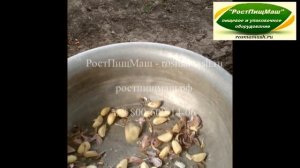 Обзор чистки зубцов чеснока на Машине SL-30 от РостПищМаш