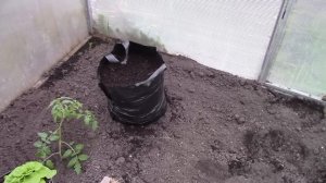 Посадка огурцов в мешки! 100% урожая! Основные преимущества выращивания! Какой грунт использовать?