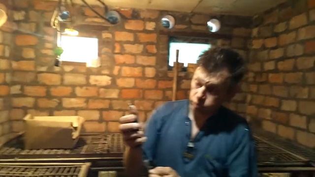 Вес индюков БИГ - 6 возраст один месяц. смотреть онлайн