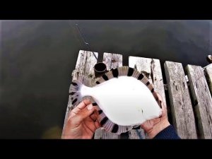 за 5 минут 3 камбалы и 3 краснопёрки на БЛЕСНУ из реки. НЕ ДУМАЛ ЧТО ОНИ ЗАХОДЯТ В РЕКИ!