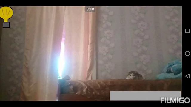 Игрушки ожили😱 часть #1 смотреть онлайн