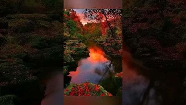 Звуки природы. расслабляющая музыка для сна и медитации. Relaxing music