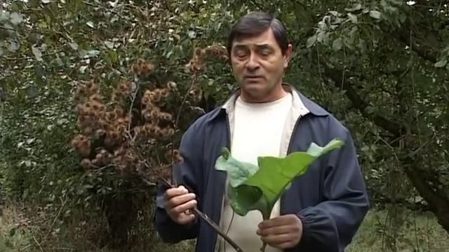 Зеленое ожерелье Лопух смотреть онлайн