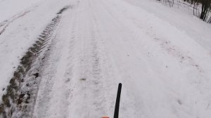 Русско-европейская лайка. Воспитание молодой собаки 2021г.