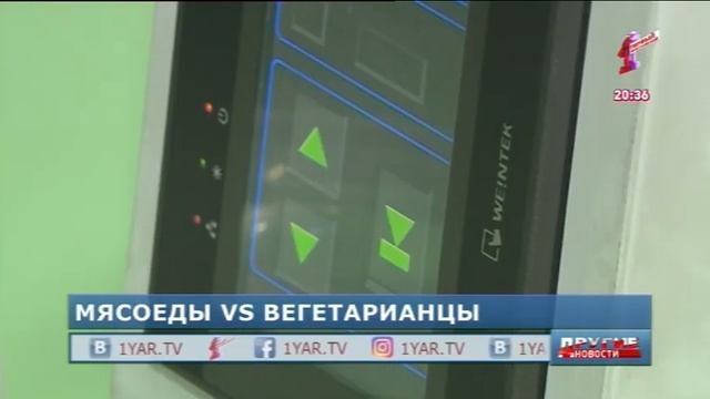 Мясоеды Vs вегетарианцы: в чем польза и вред двух разных образов гастрономической жизни
