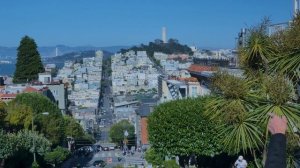 Coit Tower Lombard Street Urban Hiking Tour - Urban Hiker SF