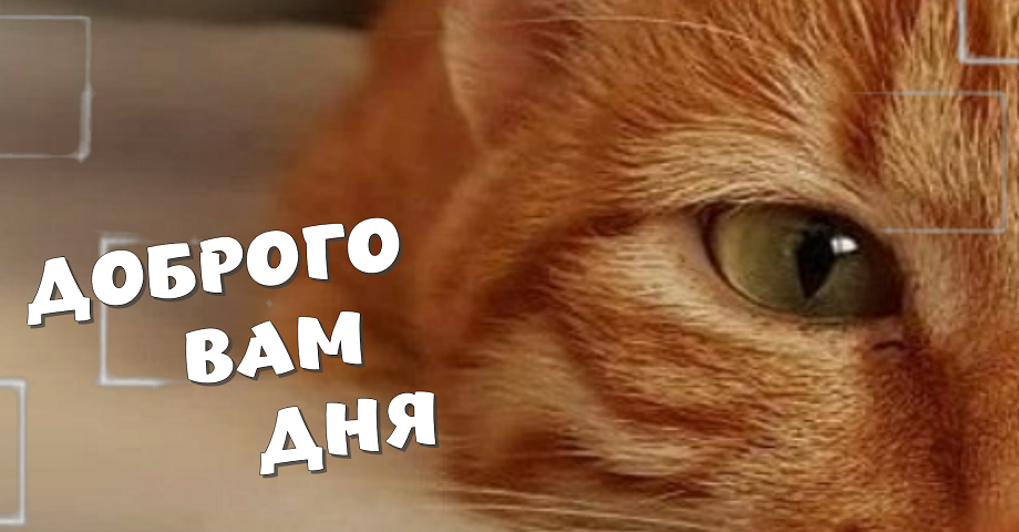 Добрый День! Желаю провести день, улыбаясь!
