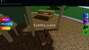 А КАКОЙ ТЫ ШЛЁПА? Roblox Find The Floppa Morphs