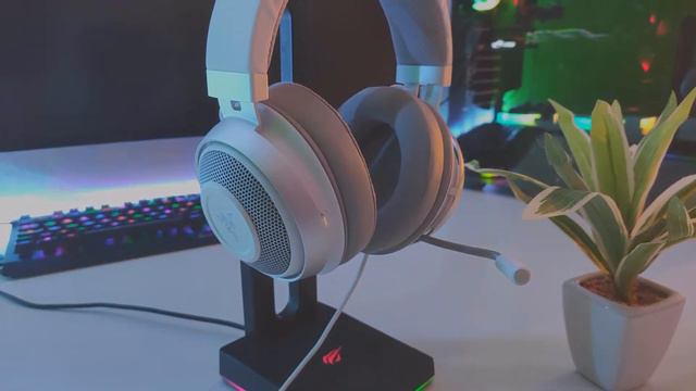 Eine Enttäuschung? | Razer Kraken Mercury Edition (2019) | Review + mic Test смотреть онлайн