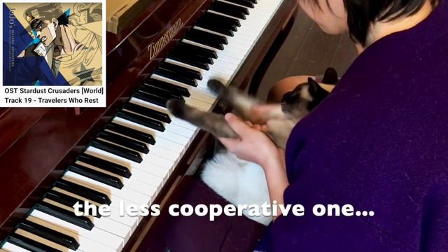 Cat plays JoJo's Piano OST | Stardust Crusaders - Travelers Who Rest | JoJo's Bizarre Adventure смотреть онлайн