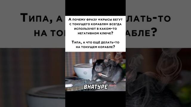 #корабль #крыса #сигареты #мем #внатуре #memes