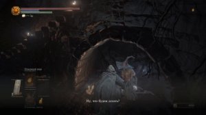 Dark souls 3 могильный ключ двери