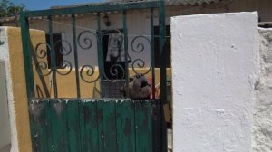 A day on the beach at Costa Da Caparica, and how to get there.