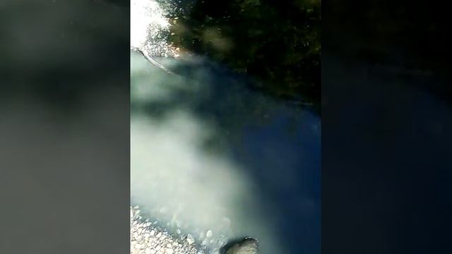 Это происходит на реке Инза,в Ульяновской области. смотреть онлайн