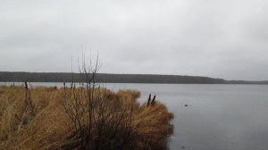 Созимский пруд