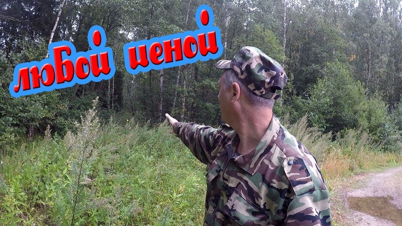 Успеть выбить лесополосу любой ценой, иначе останусь банкротом, конкуренты не спят