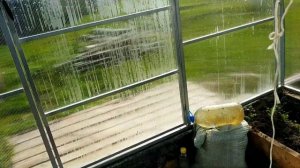 Новые грядки. Сетка от крота. Крот не пройдет.