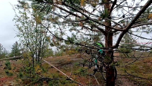18 сентября Пальцево MTB гонка - III этап кубка Выборга 2022. смотреть онлайн