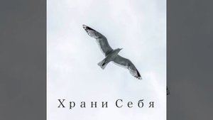 Храни себя